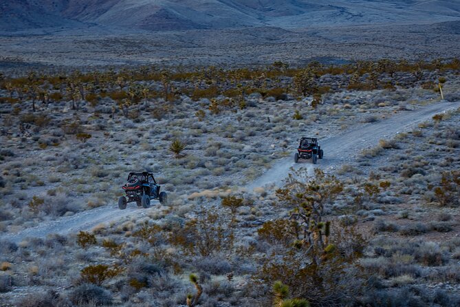Mojave Desert Twilight RZR Quest, Las Vegas(Summer Months Only!:) - Exploring the Mojave Desert Landscape