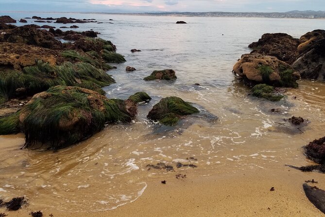 Monterey & Carmel Sightseeing Private Tour (10-Hour Minimum) - COVID-19 Policy