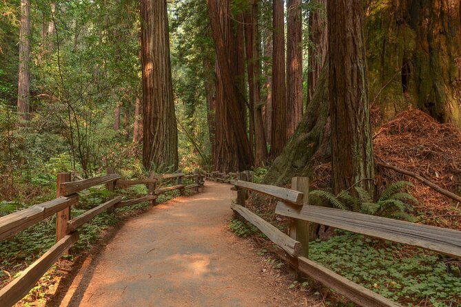 Muir Woods Self-Guided Driving and Walking Audio Tour - Pricing and Cancellation Policy