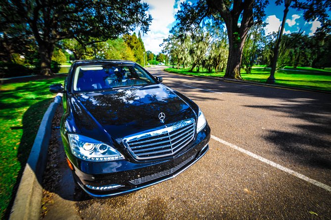 New Orleans Private Vehicle City Tour - Discover the St. Louis Cemetery No. 1