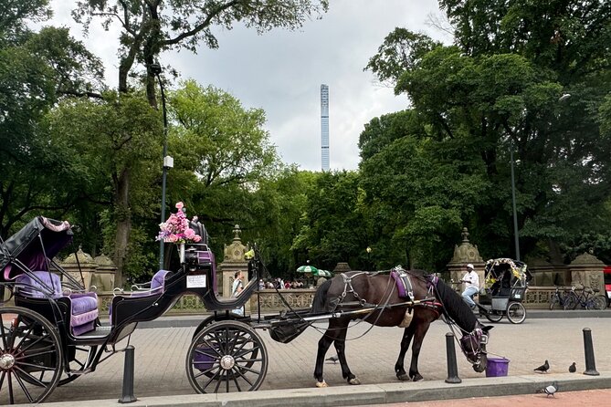 NYC Empire State Horses Carriage Ride in Central Park(55 Min) - Booking Process