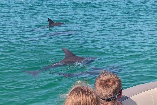 One Hour Harbor Shared Tour Review - Amenities and Inclusions on the Tour