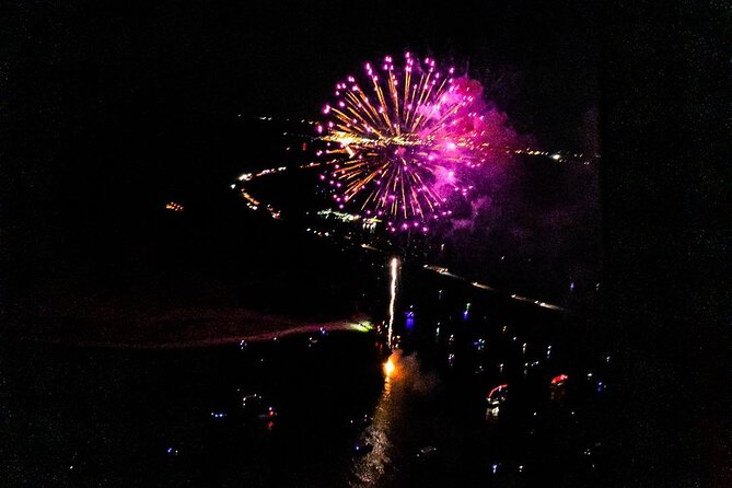 Orlando City Lights and Fireworks Tour Review - Reviews and Customer Feedback