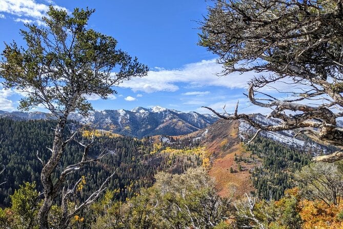 Park City Hiking Activity With Local Guide - Booking and Cancellation Policy