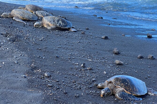Private Customized Big Island Adventure Tour Review - Cancellation Policy and Booking Flexibility