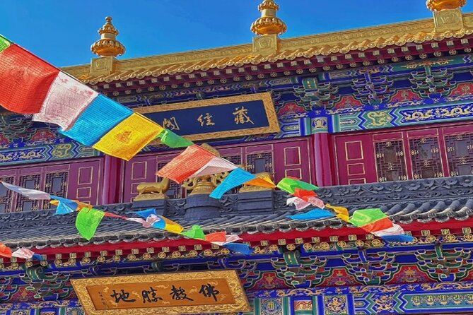 Private Day Tour: Xian Panda（QI ZAI）and City Highlights - Shaanxi History Museum