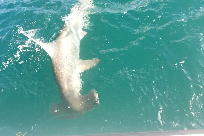 Private Fishing Charter Florida Keys - Schedule