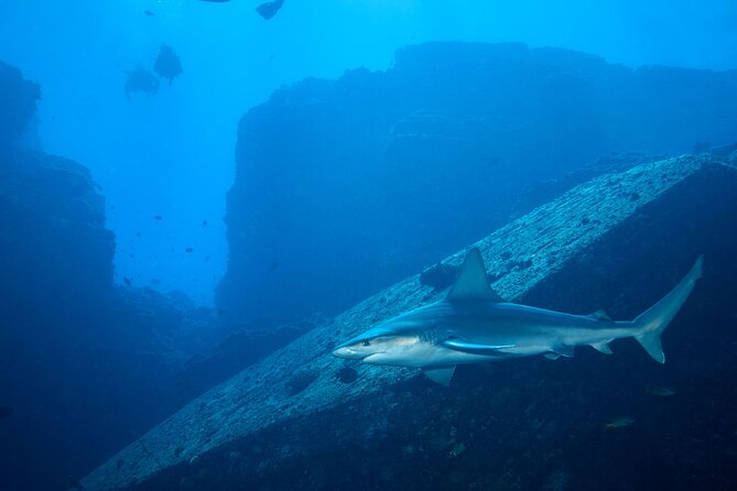 Private Niihau Scuba Charter With 2 or 3 Tank Dive Option - Booking Information