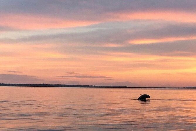 Private Sunset and Fireworks Dolphin Tour (6 People Max) - Things to Bring