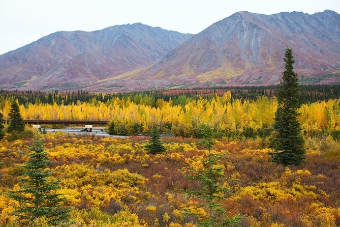 Private Transportation Between Fairbanks and Denali National Park - Recap