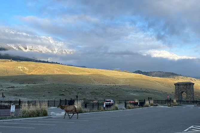 Private Yellowstone Park Van Tours From Bozeman - Additional Details