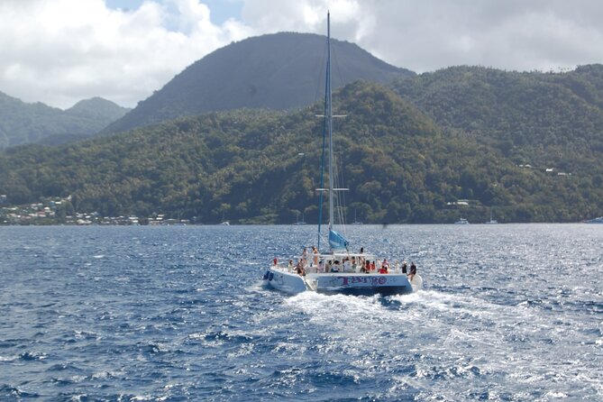 Rodney Bay to Soufriere Catamaran Transfer Review - Pickup and Drop-off Procedures