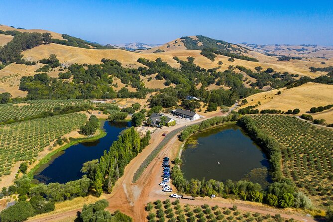 San Francisco Virtual Food Tour With Local Guide - Learn From a Knowledgeable Local Guide