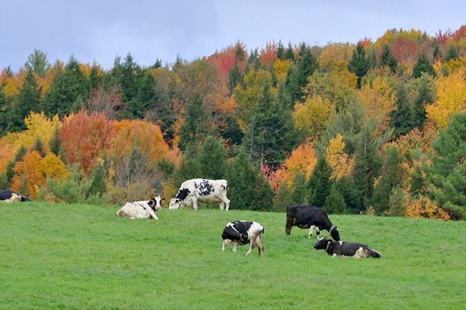Self-Guided Audio Driving Tour of Vermont Review - Exploring Vermonts RT100 Scenic Byway