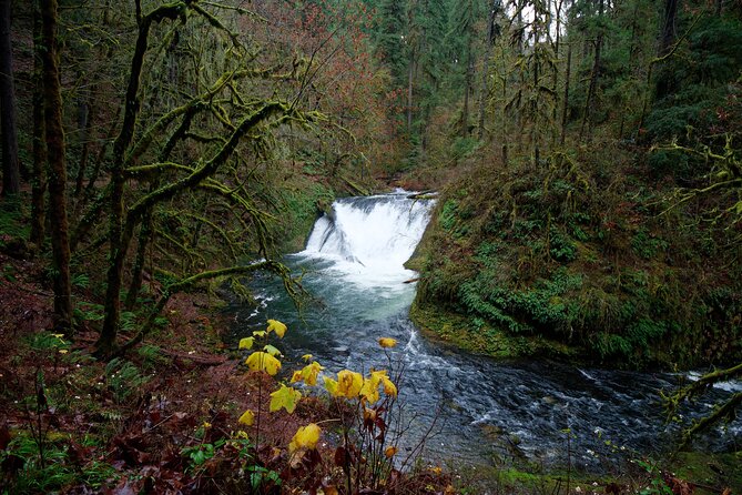 Silver Falls Private Hike Tour - Operating Hours and Availability