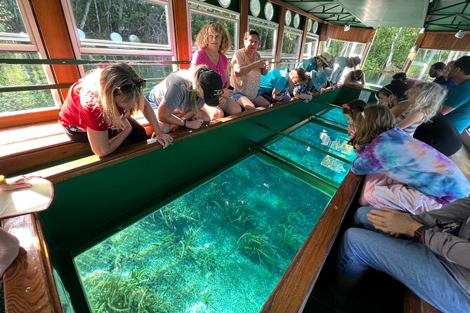 Silver Springs and Glass-bottom Boat Tour Review - Meeting Points and Safety Measures
