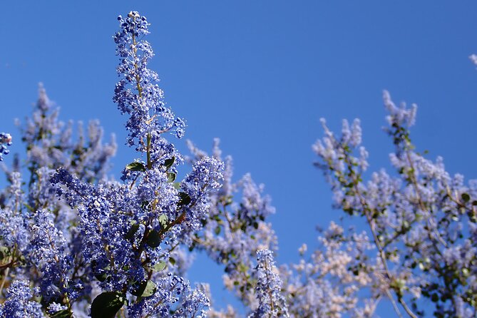 Small Group Hike Through San Diegos Heart and Soul - Booking and Cancellation Policy