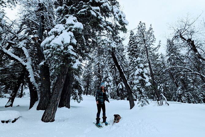 Snowshoe Tour Big Bear Lake Review - Meeting and Pickup Information