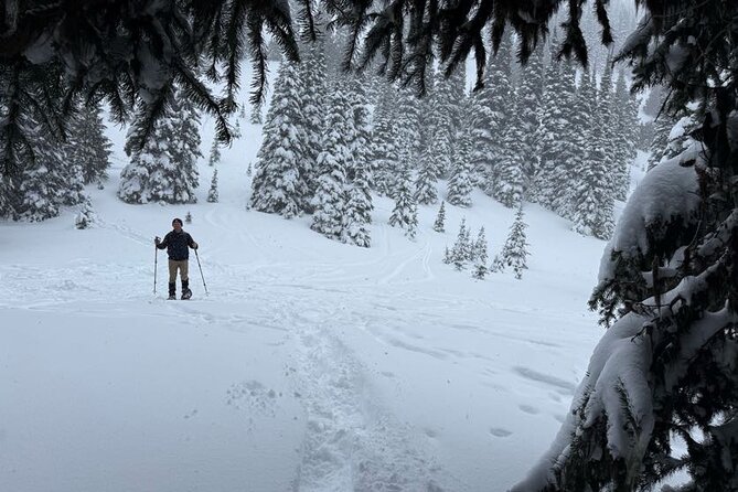 Snowshoeing at Crystal Mountain by Mount Rainier - The Benefits of Snowshoeing in the Pacific Northwest