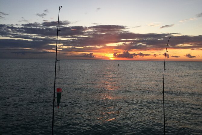 Sunset Boat Tour Around Anna Maria Island - Highlights From Positive Reviews
