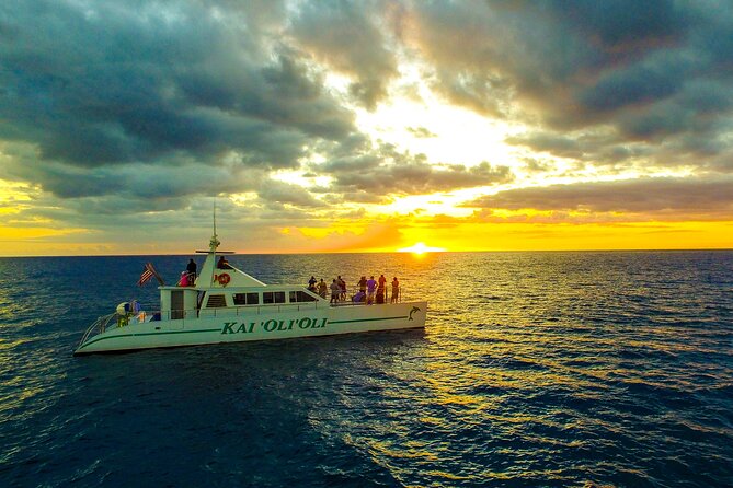 Sunset Dolphin Watch and Snorkeling Cruise Review - Navigating the Check-in and Pickup Process
