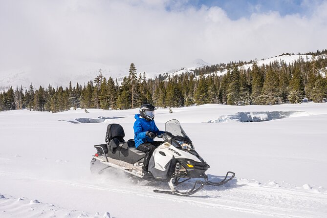Tahoe Snowmobiling Tours Review - Reviewing the Customer Experience