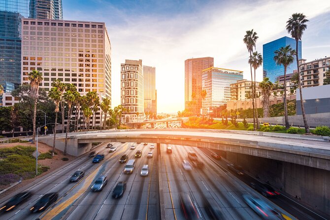 Transfer From Los Angeles City Center to LA Airport (LAX) - Vehicle Features and Accessibility