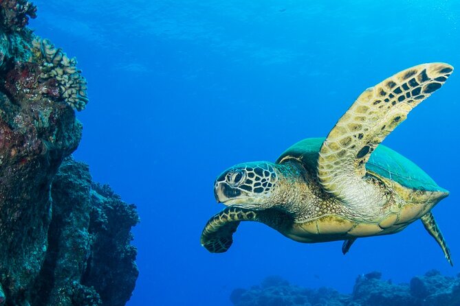 Try Scuba Diving on Kaua'i Review - Booking Process and Cancellation Policy