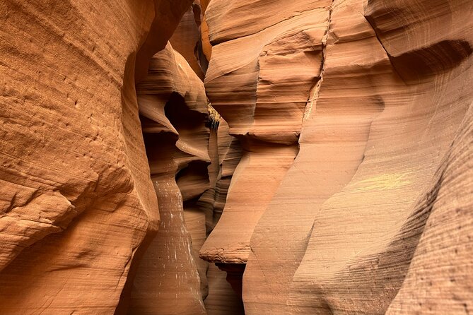 Upper Antelope Slot Canyon Tour - Tour Participation and Conditions