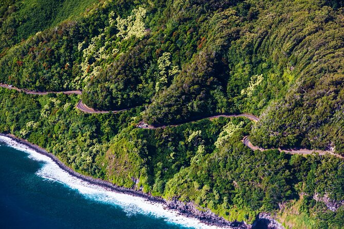 Viator Exclusive: Maui Tropical Rainforest Small Group Tour - Tour Participation Guidelines
