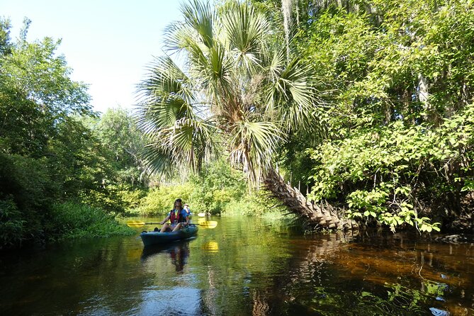 Wekiva River Kayak Tour Review - Tour Inclusions and Amenities