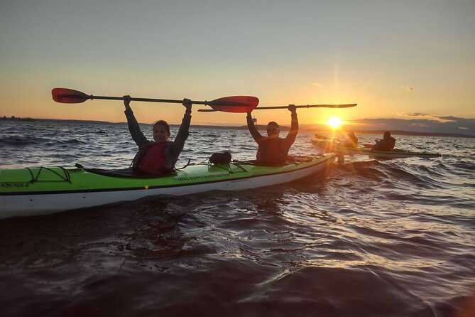 West Seattle Sunset Sea Kayak Tour Review - Reviewing the Views and Wildlife Encounters