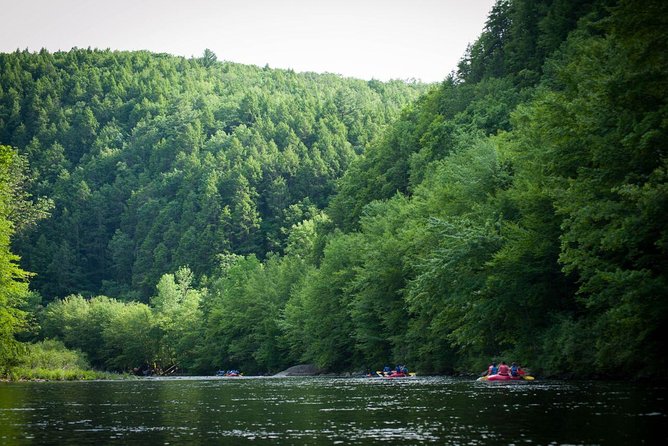 Whitewater Rafting Bus Trip From NYC Review - The Rapids: Classifications and What to Expect