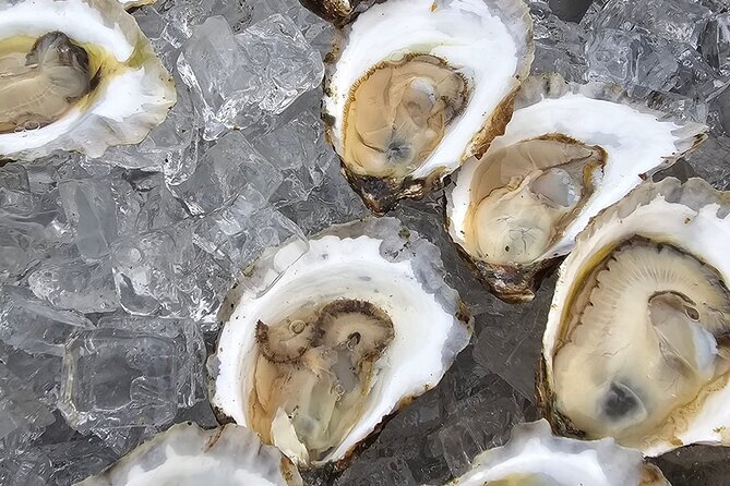 Wine & Brine Boat Cruises - Exploring the Providence River