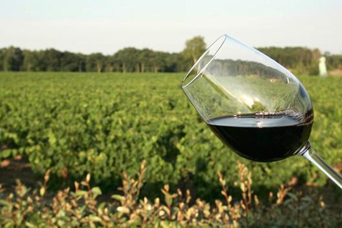 Wine Tasting Audio Tour - Lodi California - Accessibility and Inclusions