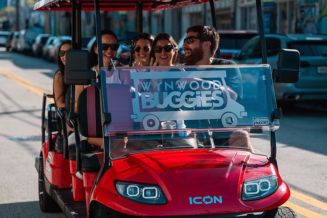 Wynwood Walls Admission and Neighborhood Buggy Experience Review - Inclusions and Exclusions of the Tour
