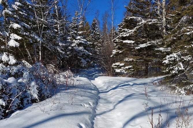 XC Ski or Hok Ski Rental Package - Gear Included