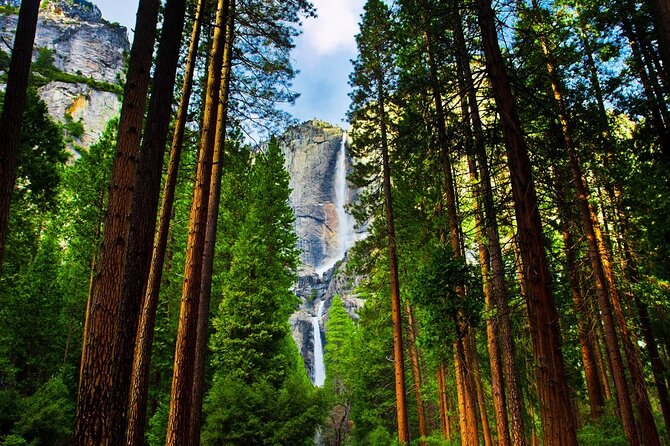 Yosemite Highlights: 5-Day Tour Review - Physical Fitness Requirements and Accessibility