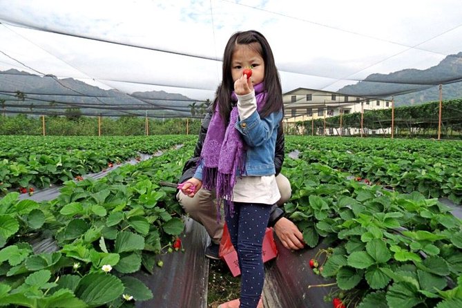 5-day Taiwan Family Fun Private Tour