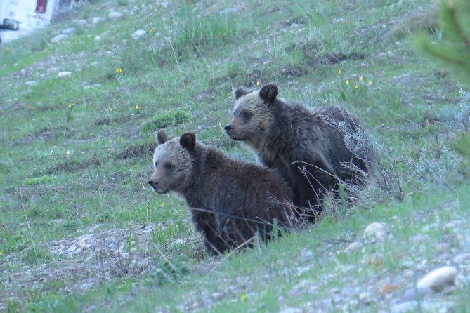 2-Day Private Tour of Yellowstone National Park Lower & Upper Loops - Booking Information
