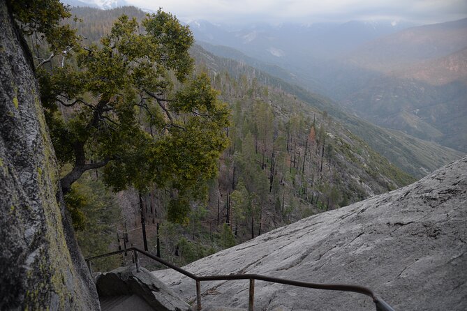 2 Days Private Tour to Sequoia and Kings Canyon Parks From LA - Booking and Cancellation Policy