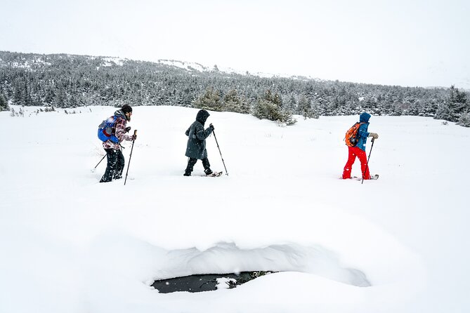 Advanced Snowshoeing Adventure - Pricing and Reviews