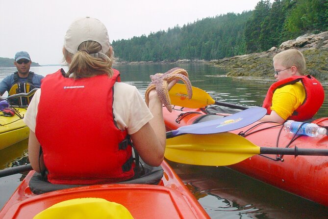 Aqua Safari Kayak Tour Departing Southwest Harbor - Tips for an Enjoyable Experience
