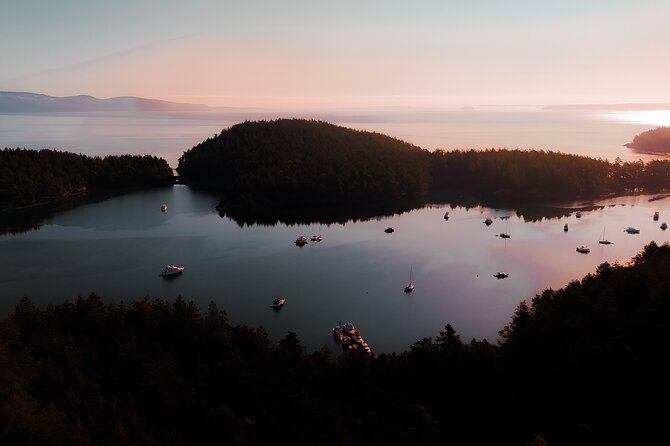 Bioluminescence and Sunset Kayak Tour Review - Final Thoughts on the Tour Experience
