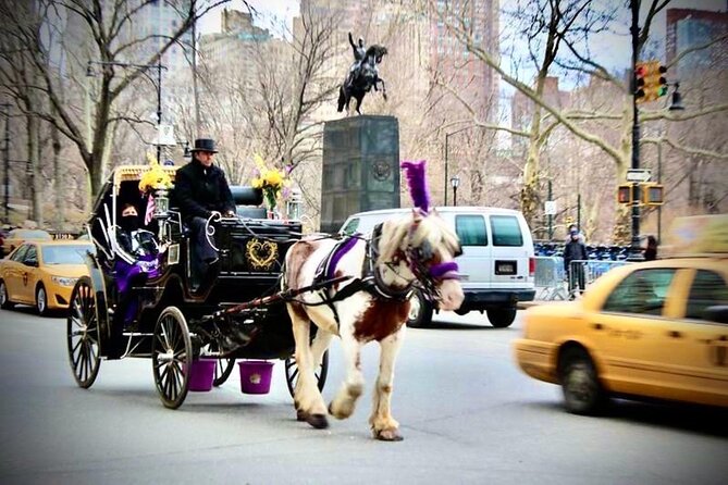 Central Park and NYC Horse Carriage Ride Review - Personal Experiences and Testimonials