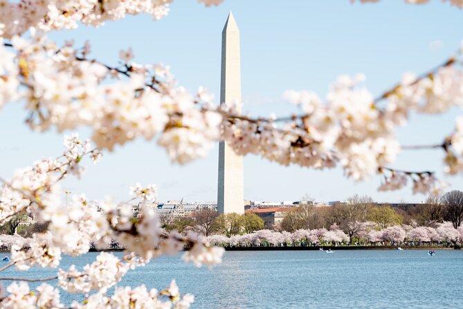 Cherry Blossom Private Bus Tour of Washington DC - Booking Process and Confirmation
