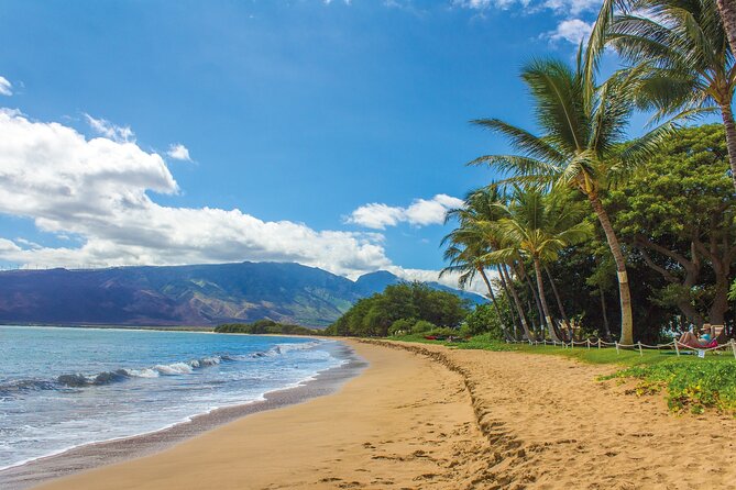 Circle Oahu Island Private Tour With Daily Chauffeur - Accessibility and Participation Details