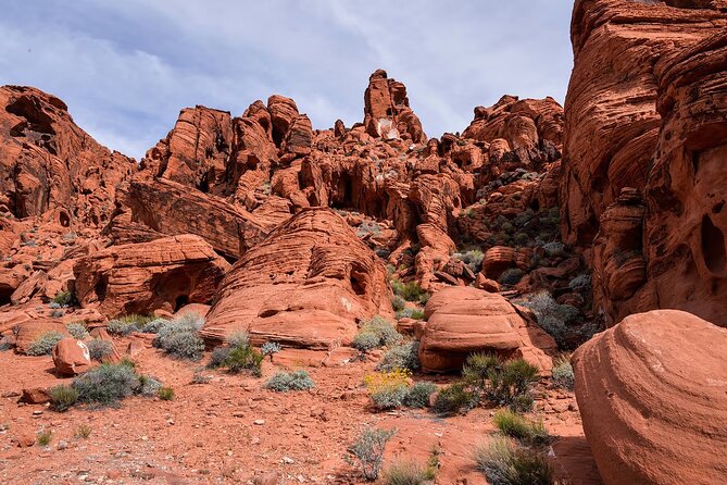 Combo Tour: Valley of Fire & Hoover Dam Review - Guide and Staff Experience