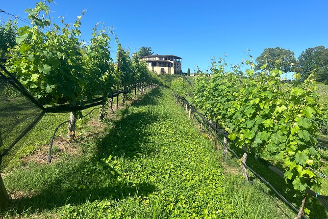 Dahlonega Wine & Dine Private Tour From Atlanta - Dining Experience