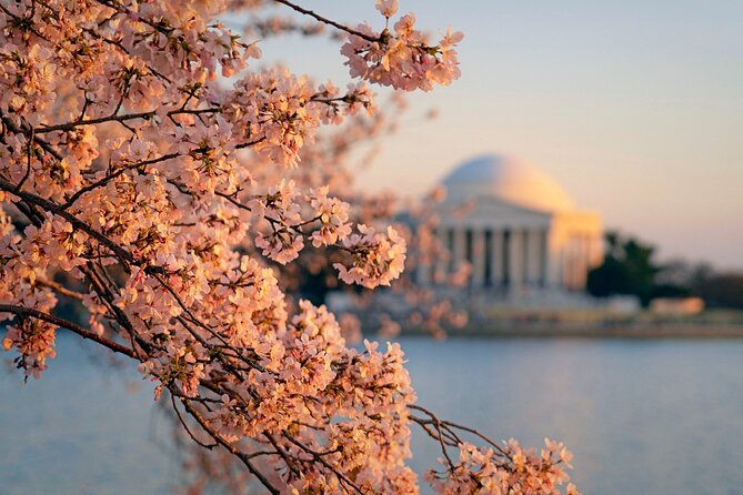 Day Escape to Nation'S Capital:Washington D.C. Day Trip From NYC - Departure and Arrival Details
